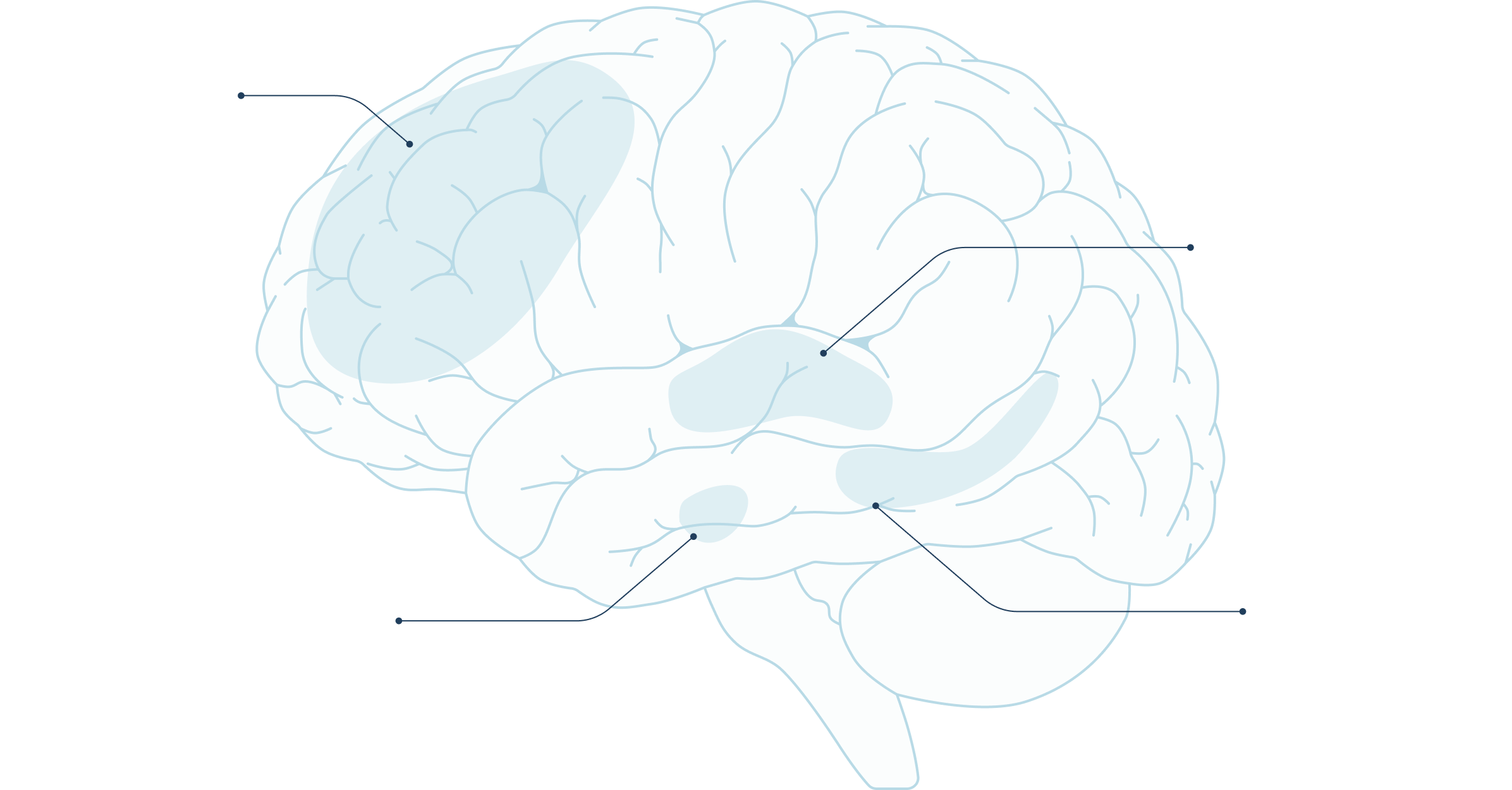 A side view of the human brain with highlighted regions